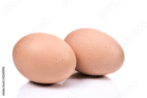 brown chicken egg on white background