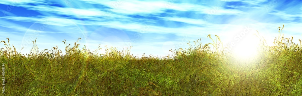 Obraz premium green grass on a blue sky 