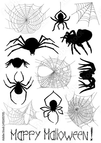 Set with silhouettes of spiders and cobweb on white