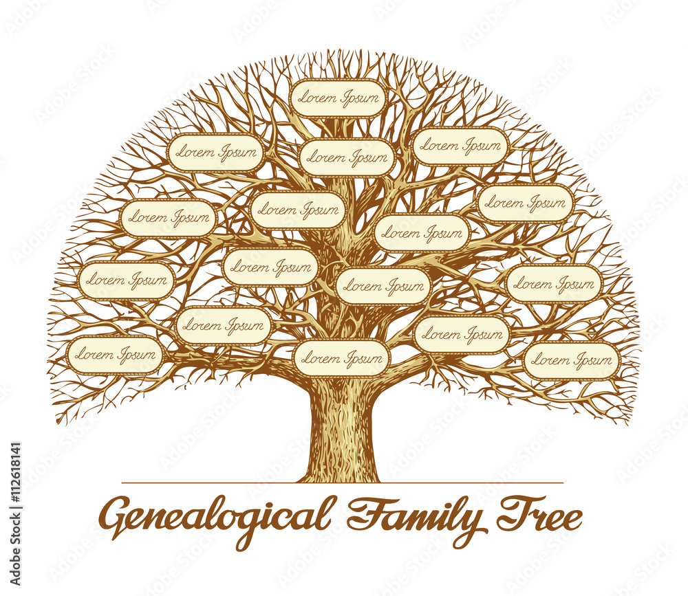 Naklejka premium Vintage genealogiczne drzewo genealogiczne. Ręcznie rysowane szkic ilustracji wektorowych