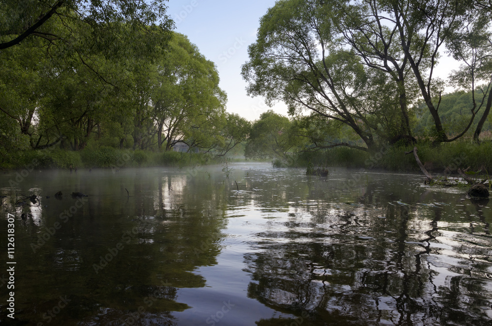 Summer landscape with river