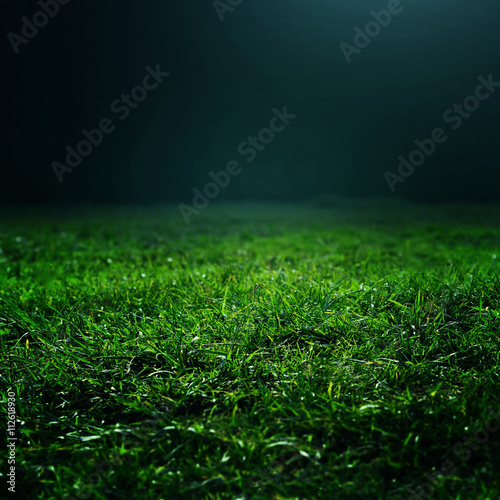 Natural green grass background with selective focus. ..Abstract