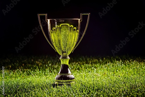 Fényképezés Shiny metal cup - first prize