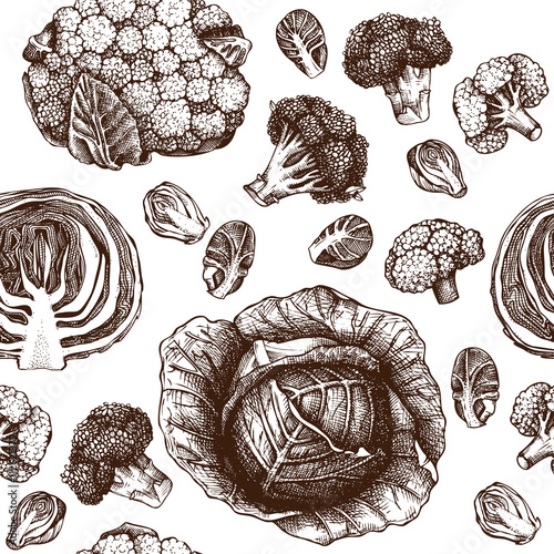 Seamless pattern with Hand drawn cabbage illustration. Vector design with Cabbage with leafs, cabbage head, half of cabbage. Organic food vintage background