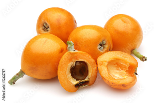 Loquat