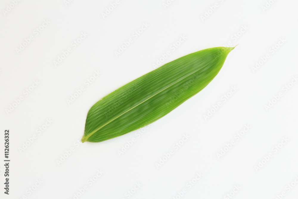 Obraz premium 笹の葉、素材