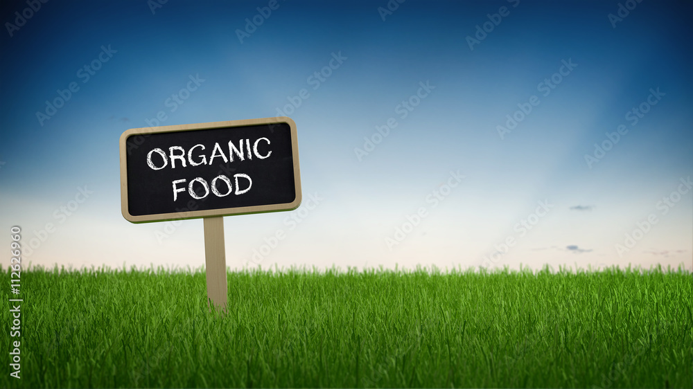 Organic food sign in green grass