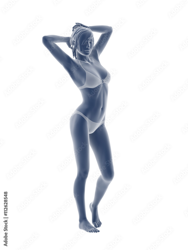 woman body illustration isolated on white background. woman body illustration isolated on white background.