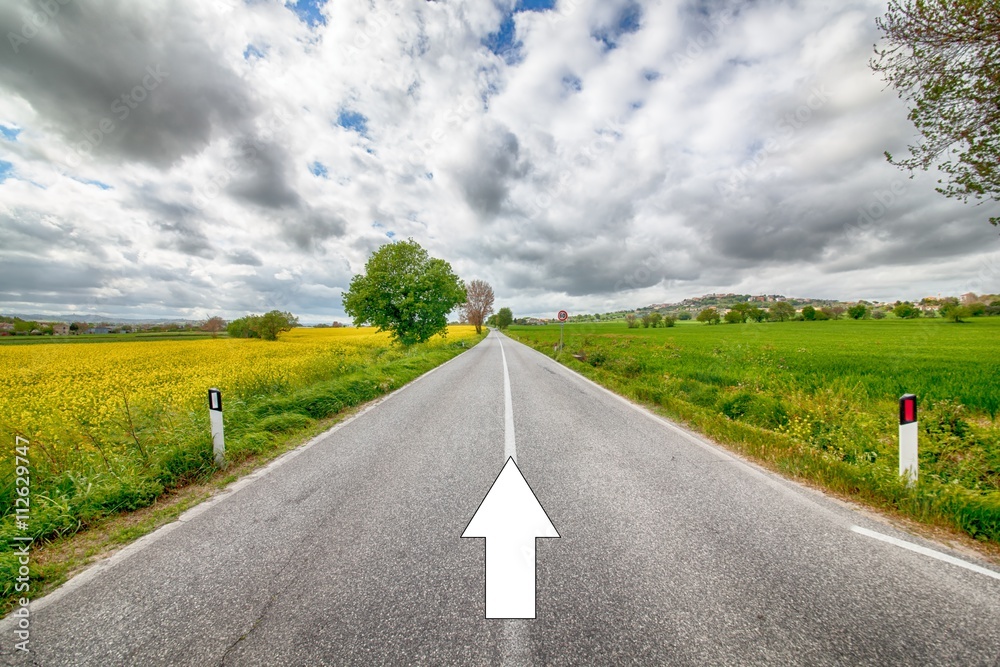 Fototapeta premium Dritto