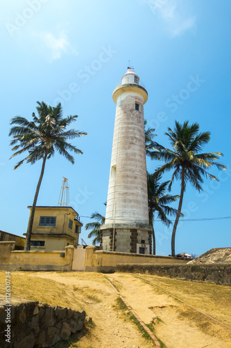 lighthouse with palm trees on a sunny day in asia  sri lanka