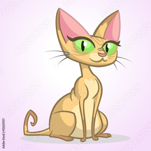 Sphynx cat vector. Funny glamorous cat with green eyes. Isolated on white