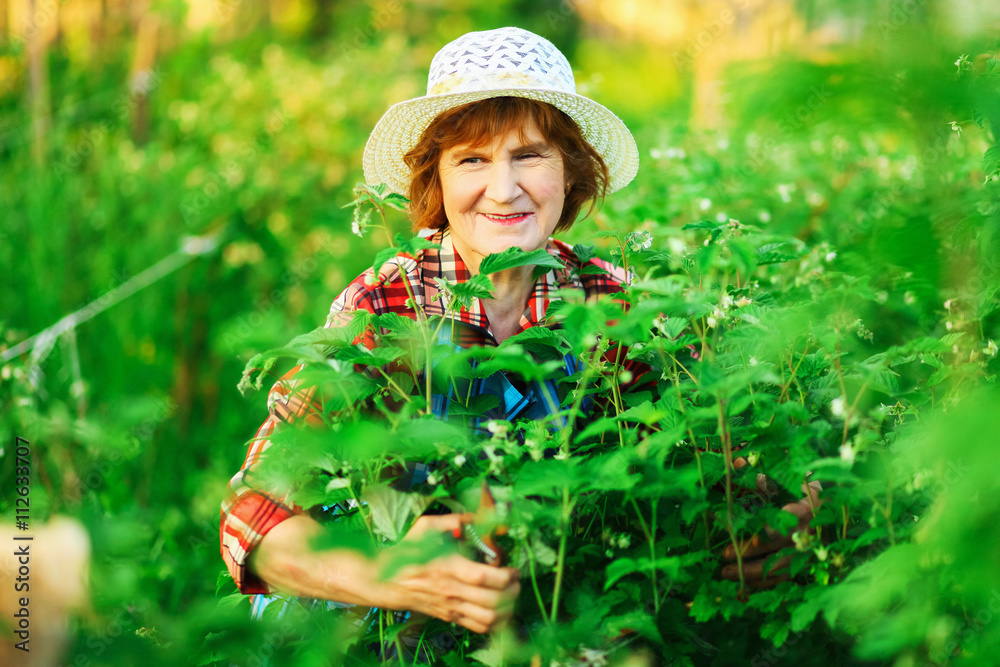 Woman in garden. Woman in garden.