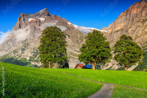 Spectacular orderly green field with high snowy mountains,Grindelwald,Switzerland