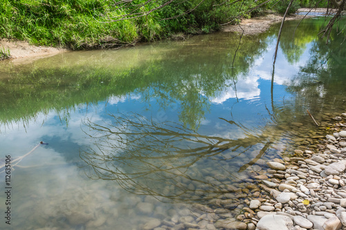 Fototapeta Naklejka Na Ścianę i Meble -  paesaggio fluviale con albero riflesso sull'acqua