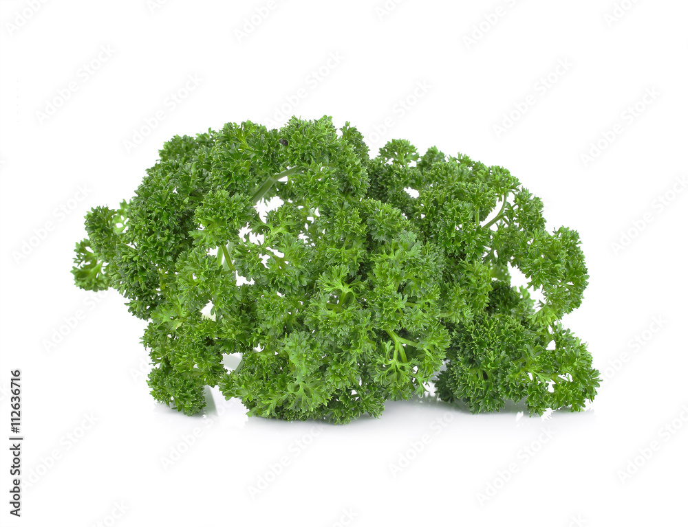 Obraz premium parsley isolated on white background