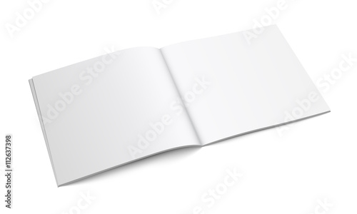 White Empty Brochure