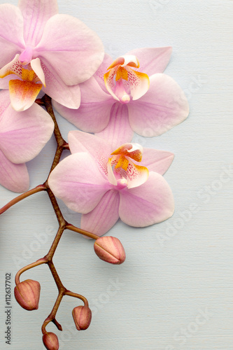 Obraz na plátně Spa.