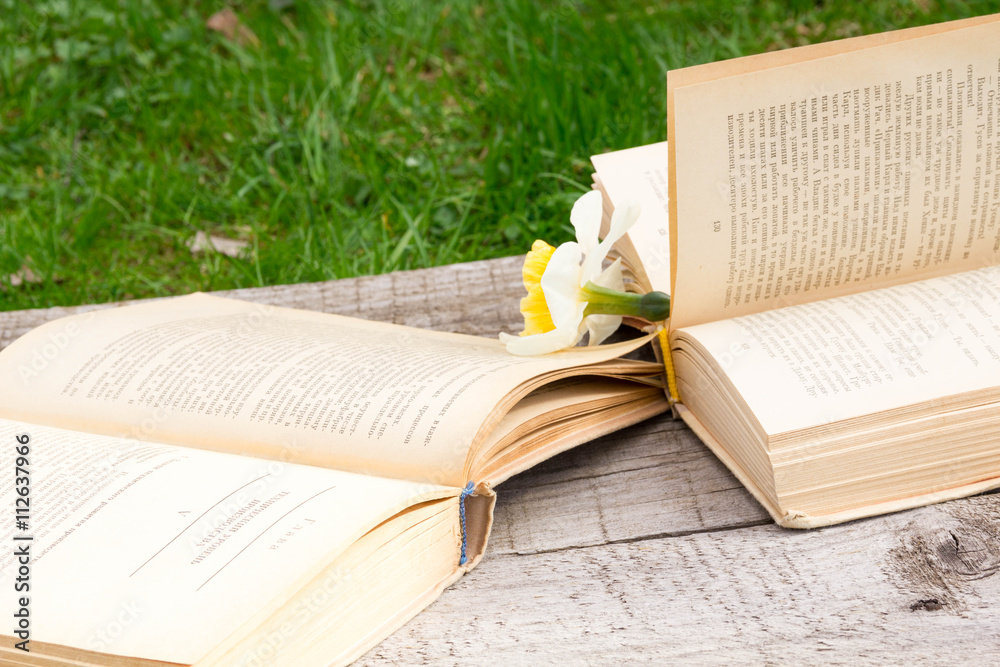 Fototapeta premium Summer pictures with an open book. Open book on the background of nature. Knowledge is power. Flowers in the book. Education. on the wooden table. Teacher's day. Empty space for text