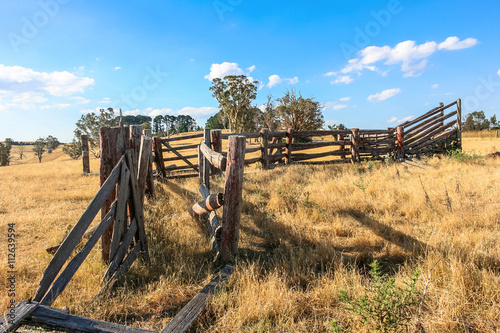 Old run down wooden cattle race in dry paddock. Australia. © Mantis Design