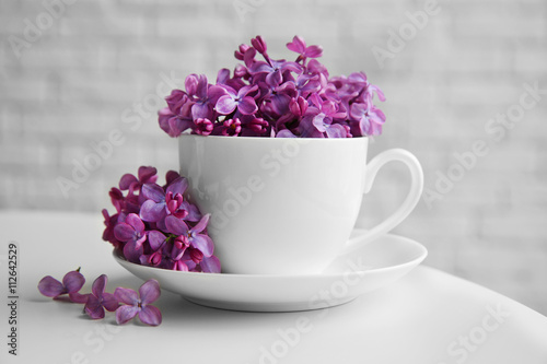 Purple lilac flowers in a cup on white table