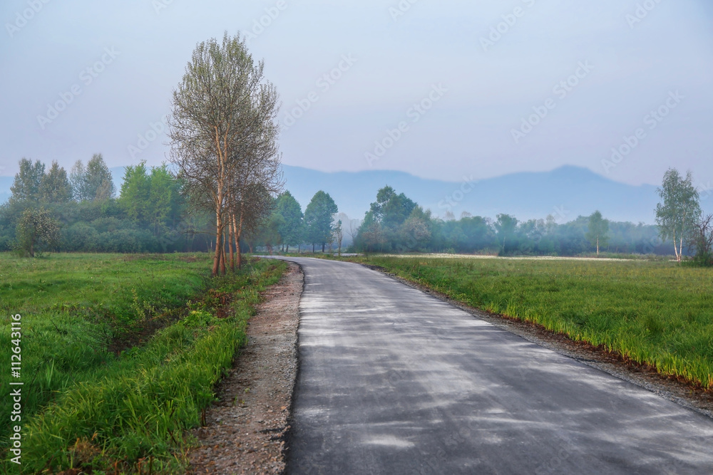 Fototapeta premium Foggy morning in meadow