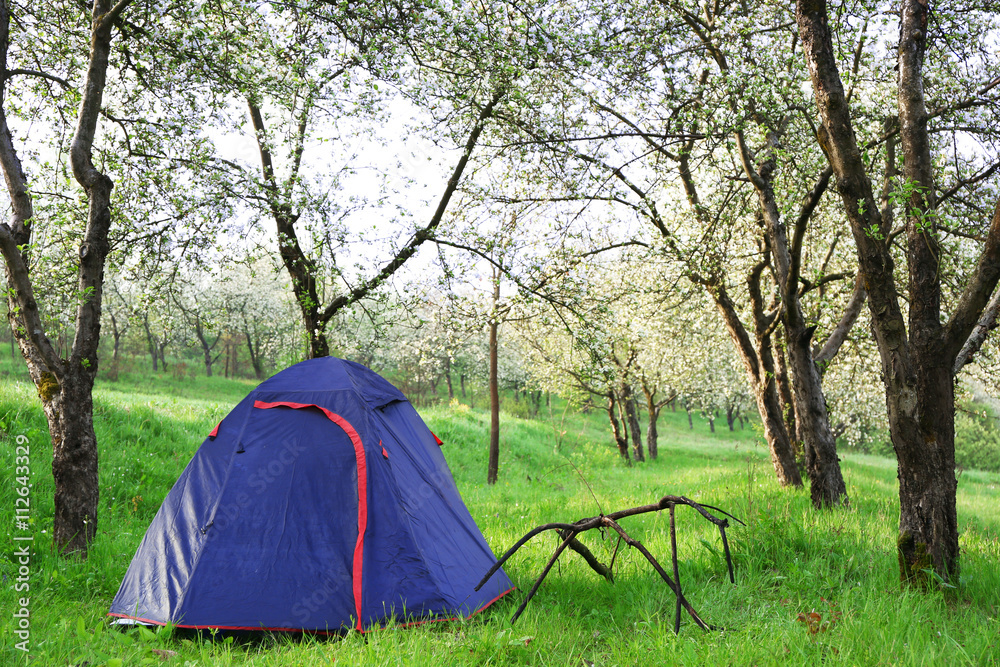 Tourist tent in forest Tourist tent in forest