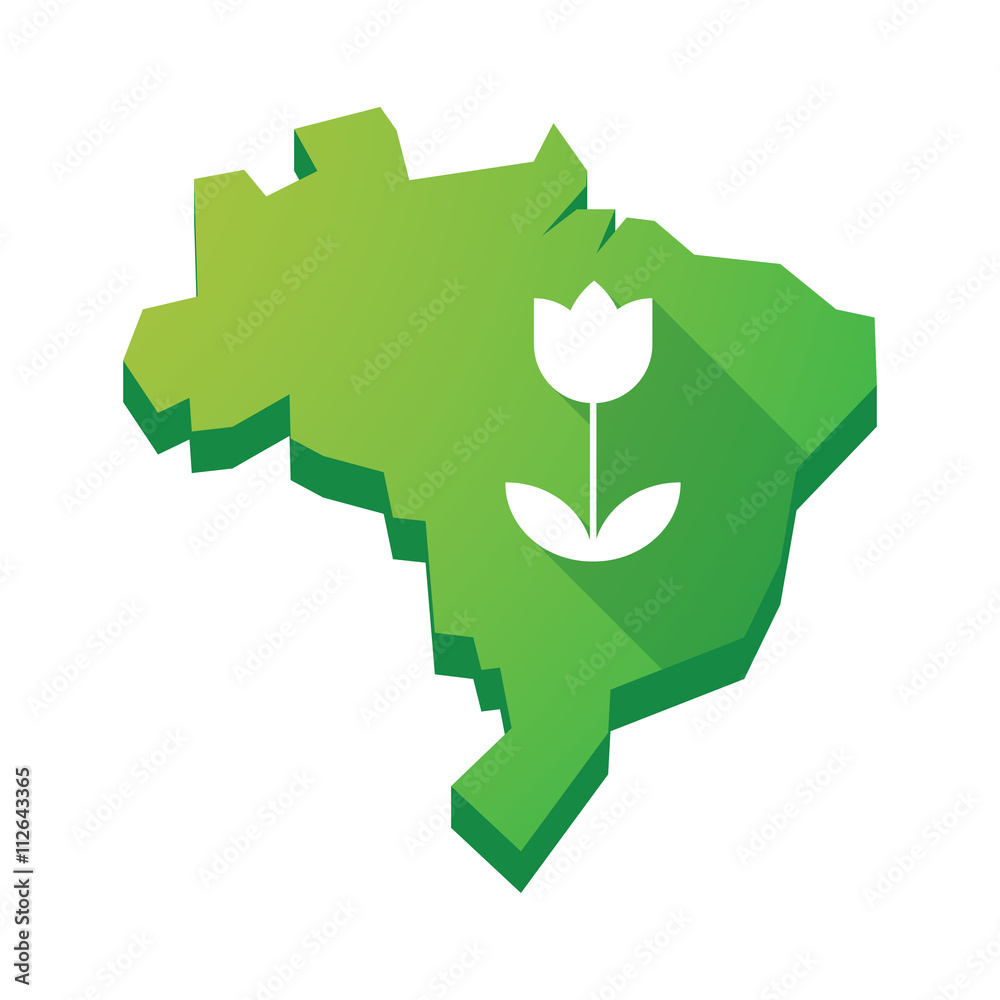 Illustration of an isolated Brazil map with a tulip Illustration of an isolated Brazil map with a tulip