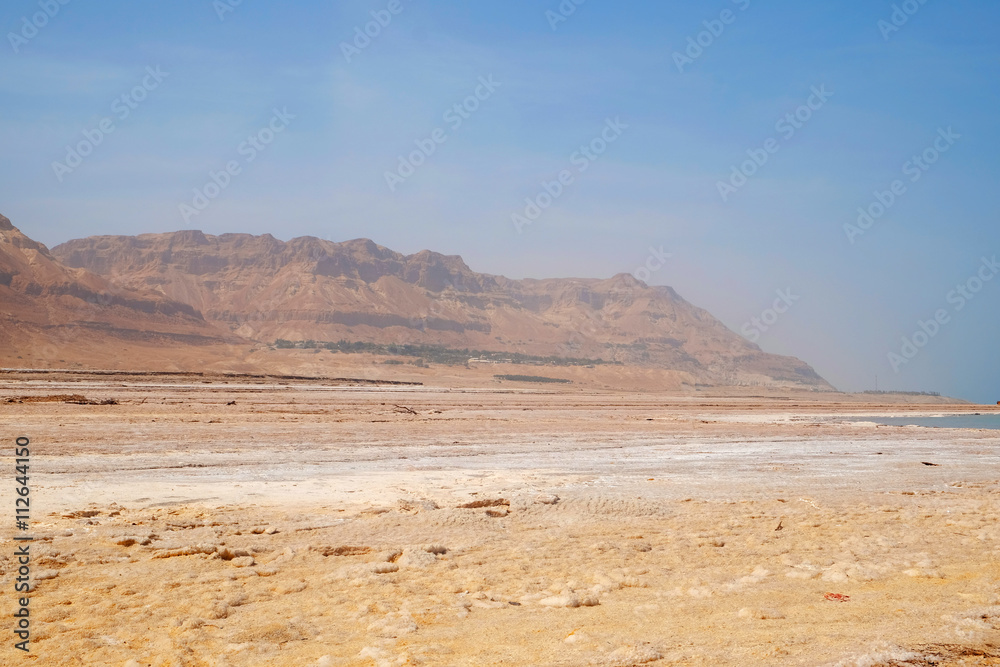 Fototapeta premium Desert landscape with mountains on horizon