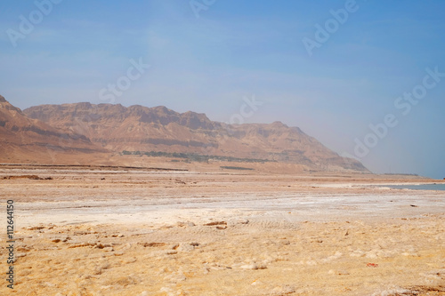 Desert landscape with mountains on horizon © Africa Studio