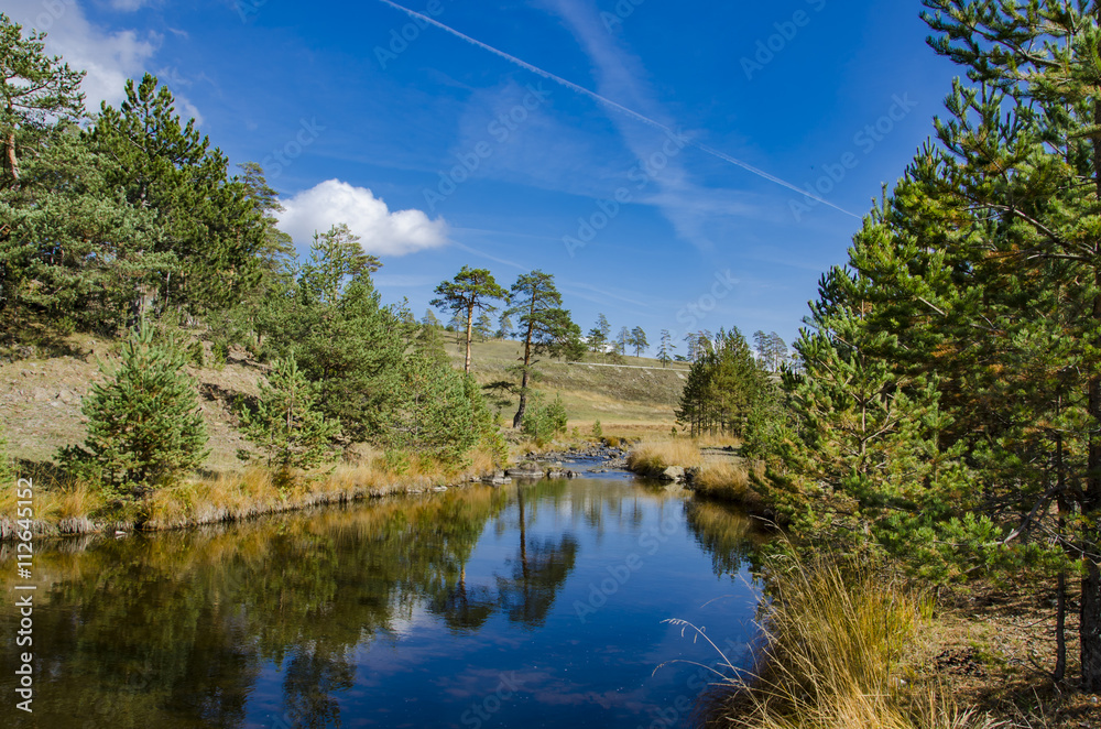 Fototapeta premium Zlatibor mountain in Serbia