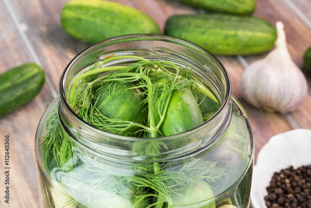 Farm organic cucumbers preparing for pickles.