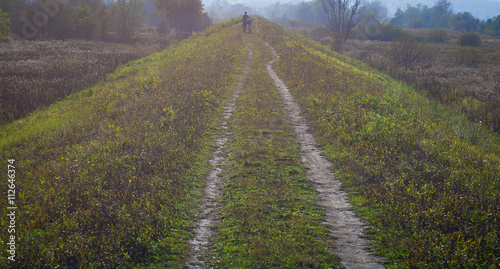 Las jesienią photo