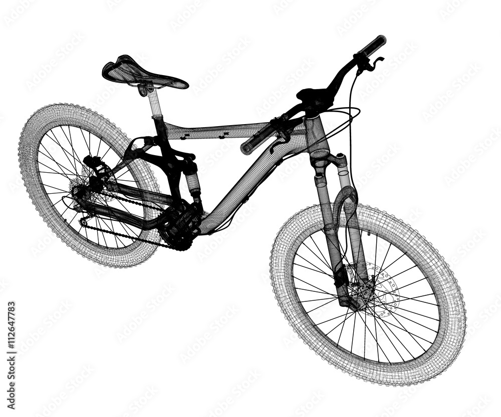 Fototapeta premium Mountain Bicycle sport