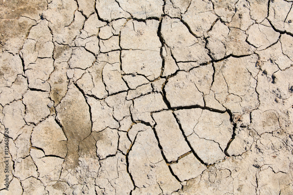 Fototapeta premium Cracked and dry soil