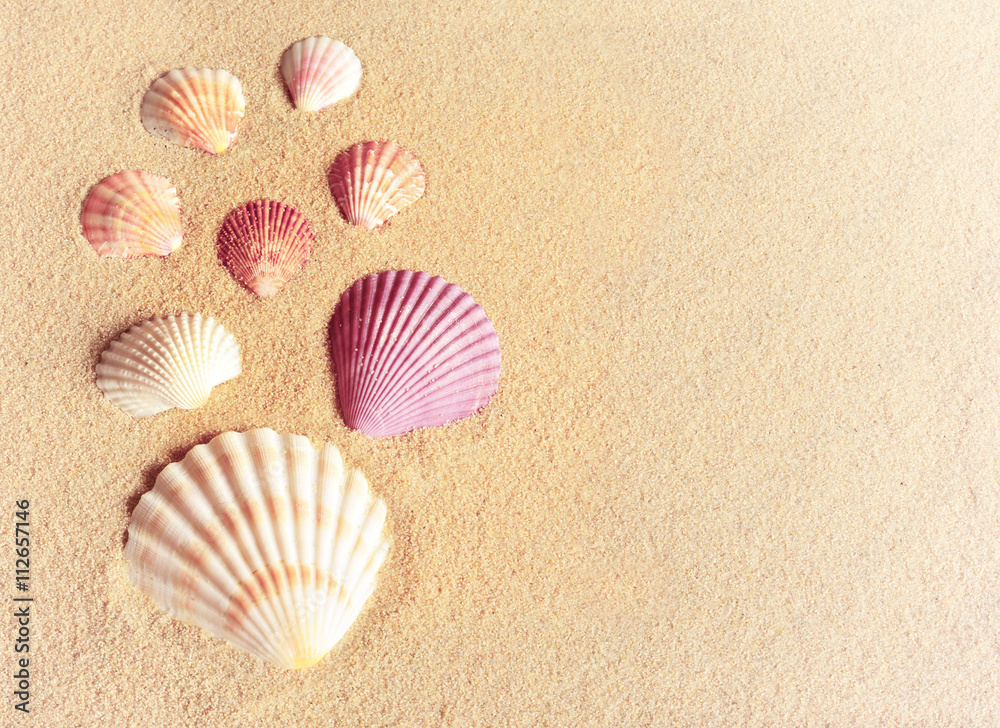 Sea shells an sand as background Sea shells an sand as background