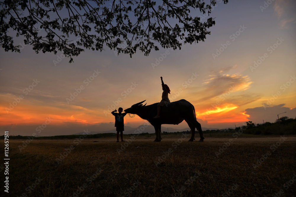 Culture of coexistence of the Children in Thailand and Buffalo , Nakhon Si Thammarat , Thailand. Culture of coexistence of the Children in Thailand and Buffalo , Nakhon Si Thammarat , Thailand.
