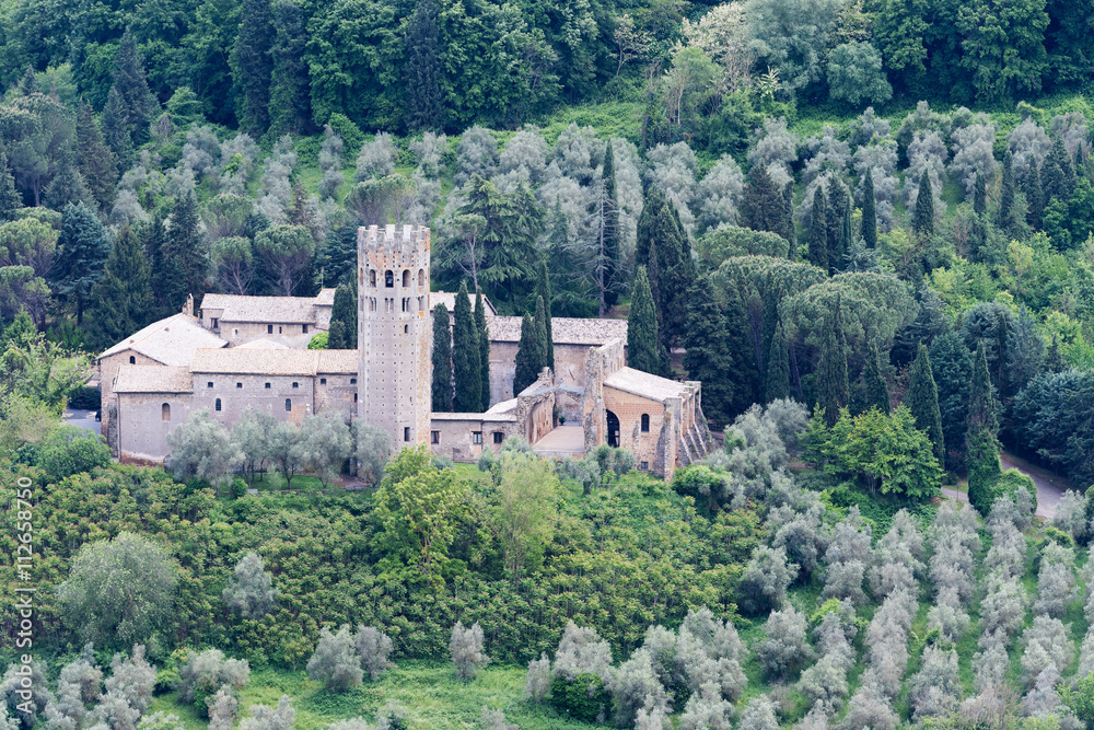 Fototapeta premium Old monastery in a castle with olive grove