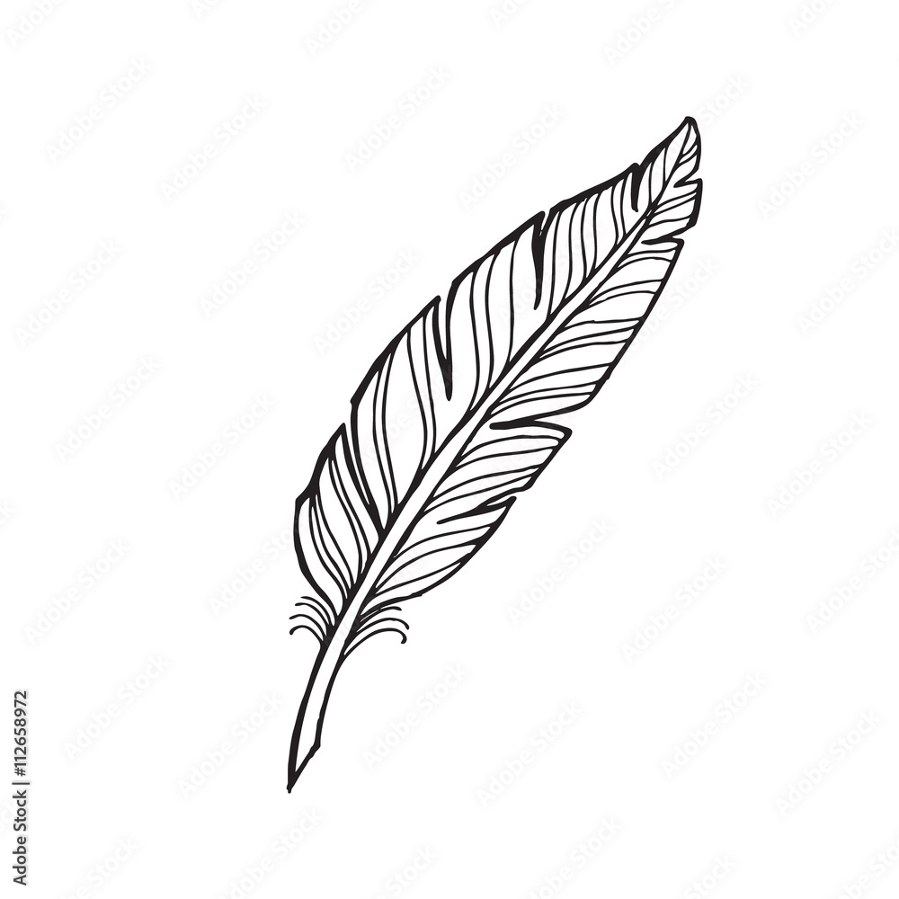 vector monochrome feather on a white background. Vector hand drawn tattoo feather vector monochrome feather on a white background. Vector hand drawn tattoo feather