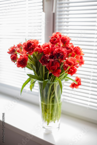 Red tulips in a glass vase on the windowsill