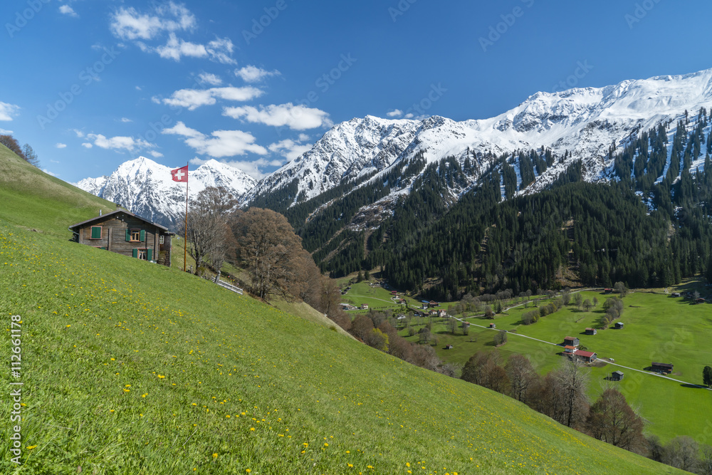 Schweizer Bergwelt