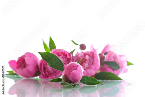 Fototapeta Naklejka Na Ścianę i Meble -  beautiful pink peonies