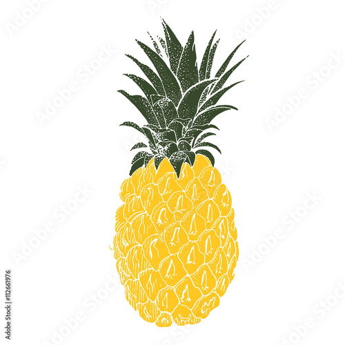 Hand drawn pineapple. Vector background