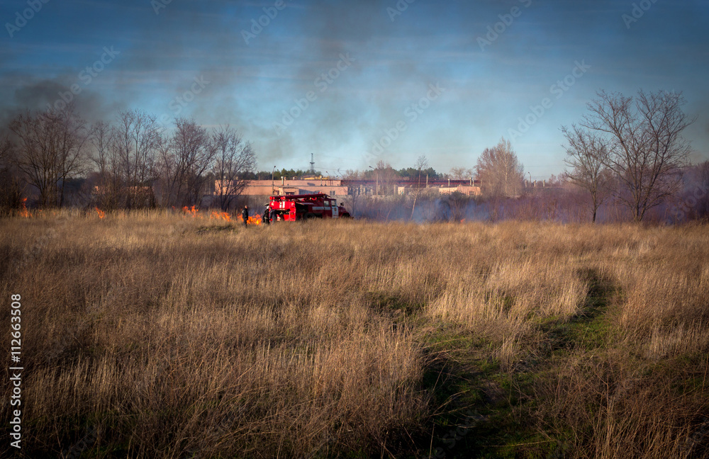 Obraz premium firefighters. wildfire.