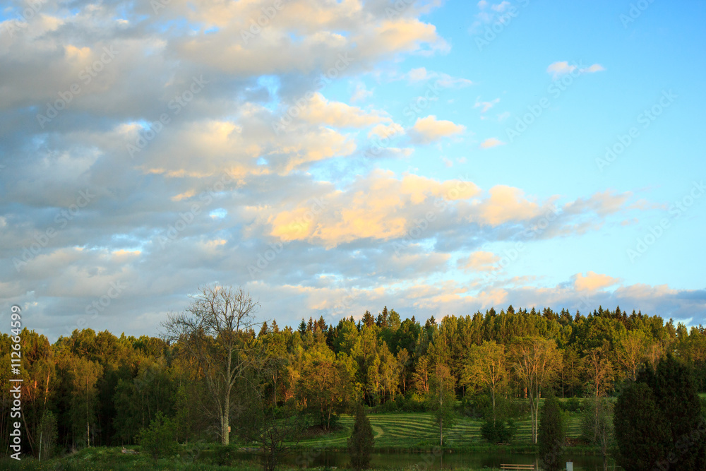 Fototapeta premium evening sky over the forest in Sweden