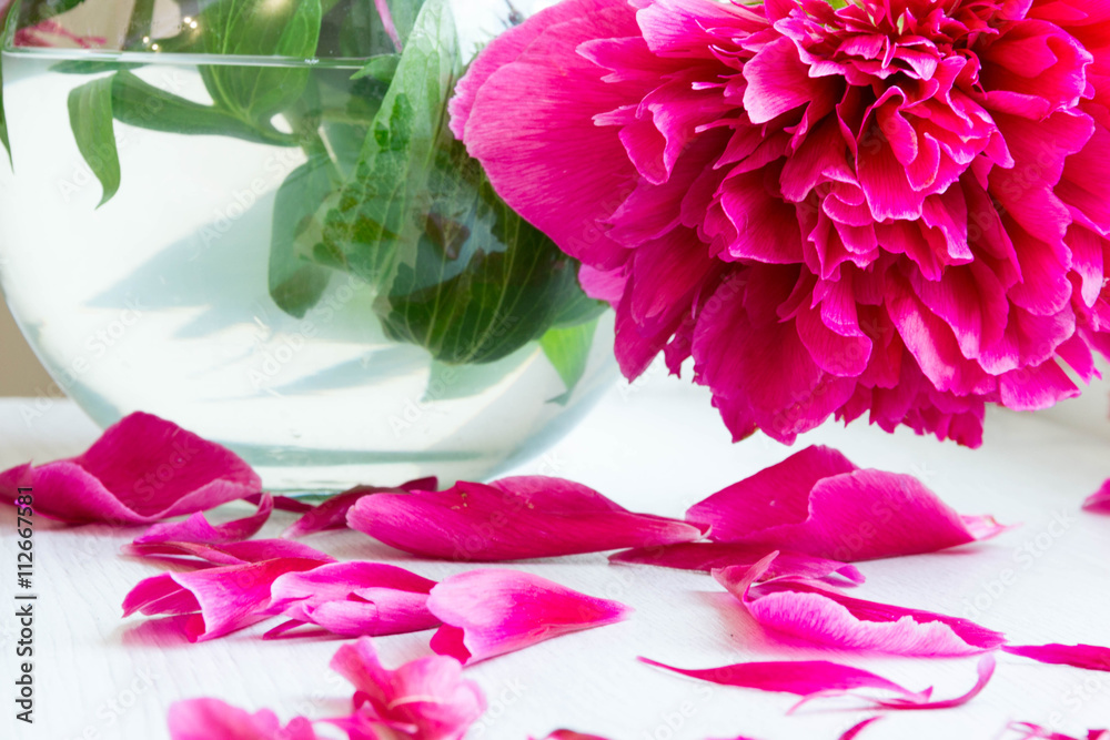 Beautiful pink peonies flowers with a blank notebook on a gray stone background, copy space for your text or design. Stylish mock branding for showing your work. Beautiful pink peonies flowers with a blank notebook on a gray stone background, copy space for your text or design. Stylish mock branding for showing your work.