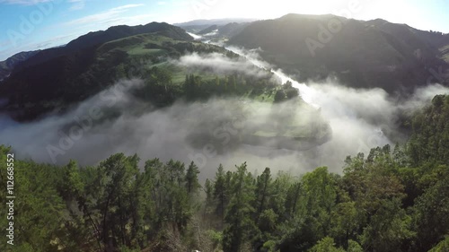 Aerial view over pines tree forest of a mist covered Whanganui River, New Zealand 