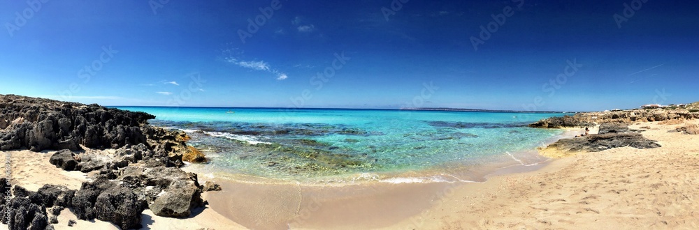 Cristal water in Formentera Spain beach - obrazy, fototapety, plakaty 