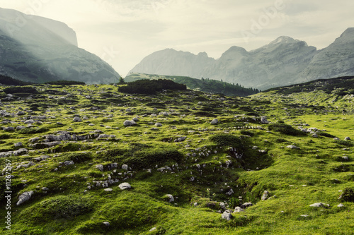 Green landscape in mountains