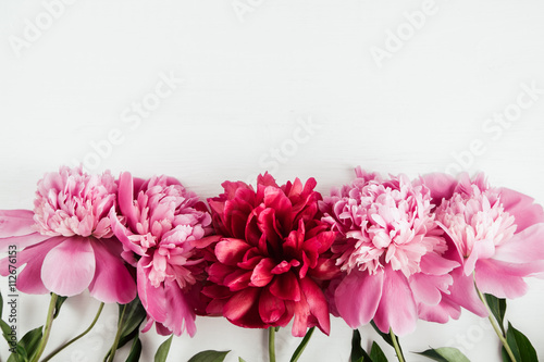 Fototapeta Summer floral background with pink and red peonies