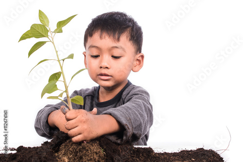 Cute little boy planting tree
